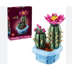 CACTUS IN FIORE BOTANICALS...