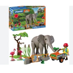 ELEFANTE CON GUARDIANO DI...