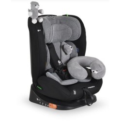 SEGGIOLINO AUTO COMPETITION...