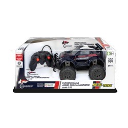 AUTO RADIOCOMANDATA...