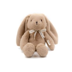 CONIGLIETTO CON RUMORI...