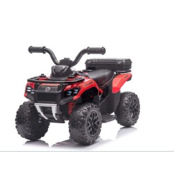 QUAD ELETTRICO CAVALCABILE...