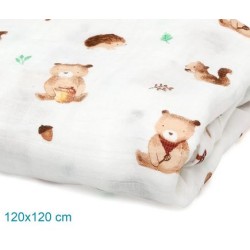 MUSSOLINA ORSETTI 120X120...