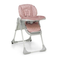 MEETING SEGGIOLONE ROSE