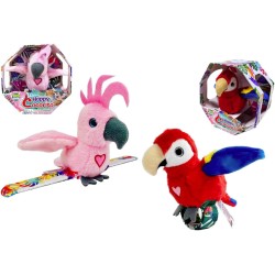 HAPPY COCORITO SEMPRE CON...