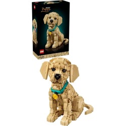 CUCCIOLO DI GOLDEN...