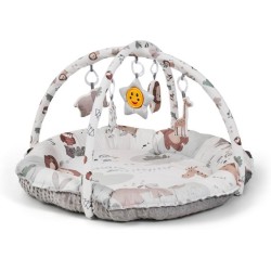 TAPPETINO ATTIVITA' ZOOLA