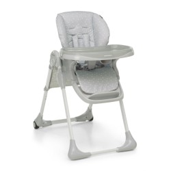 MEETING SEGGIOLONE STARS