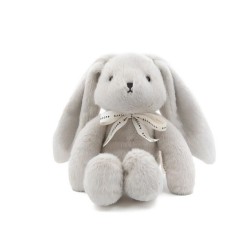 CONIGLIETTO CON RUMORI...