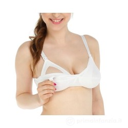 REGGISENO ALLATTAMENTO SUPP...