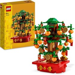 L ALBERO DEI SOLDI LEL...