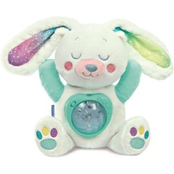 FIOCCO PROIETTORE DI AURORA...