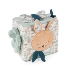 CUBO DI ATTIVITA  PASITO