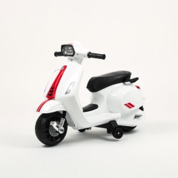 MOTO ELETTRICA CAVALCABILE...
