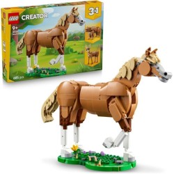CAVALLO MERAVIGLIOSO...
