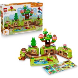 FORESTA ESPLORATIVA CON...