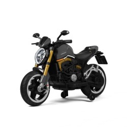 MOTO ELETTRICA CAVALCABILE...