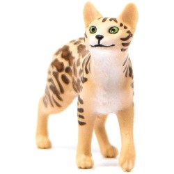 GATTO DEL BENGALA  
