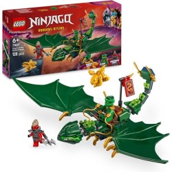 DRAGO DELLA FORESTA VERDE...