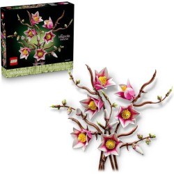 RAMETTI DI MAGNOLIA...