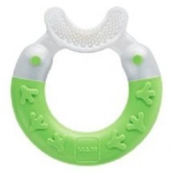 DENTARUOLO CON SETOLE MORB...