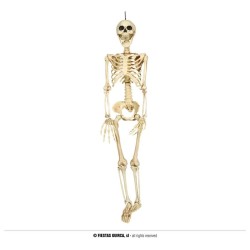 SCHELETRO 90 CM