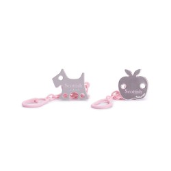 SUCC EVOL 0-6 M ANAT SIL...