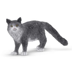 GATTO MAINE-COON
