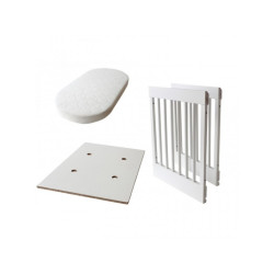 KIT TRASFORMAZIONE LAB 03...