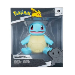 POKEMON CM  12 VINILE...