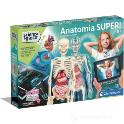 ANATOMIA SUPER SCIENZA E GIOCO