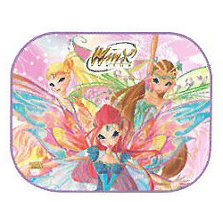 COPPIA TENDINE WINX 44X35...