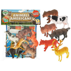 BUSTA ANIMALI D'AMERICA CON...