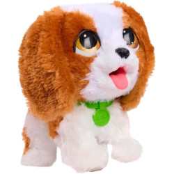 FURREAL POOP A LOTS...