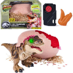 UOVO E DINOSAURO...