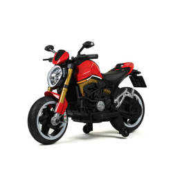 MOTO ELETTRICA CAVALCABILE...