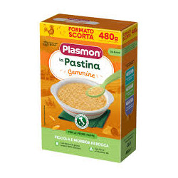 PASTINA MAXI FORMATO 480 GR...