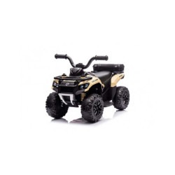 QUAD ELETTRICO CAVALCABILE...